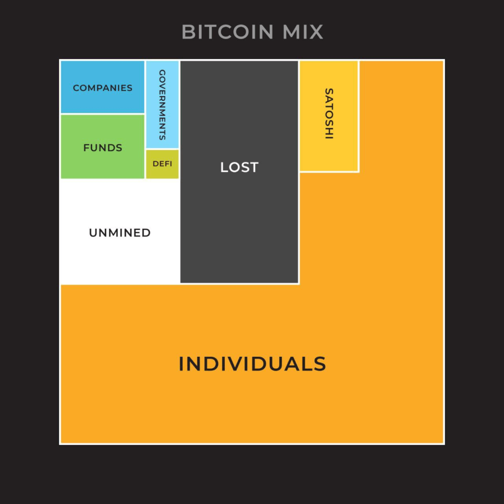 Distribuição de Bitcoin entre indivíduos, empresas, fundos e governos.