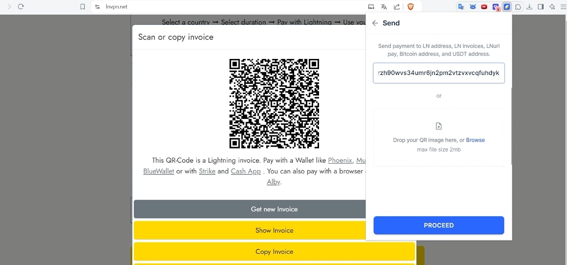 Efetuando pagamento do LN VPN através da Lightning (usando a Speed Wallet)