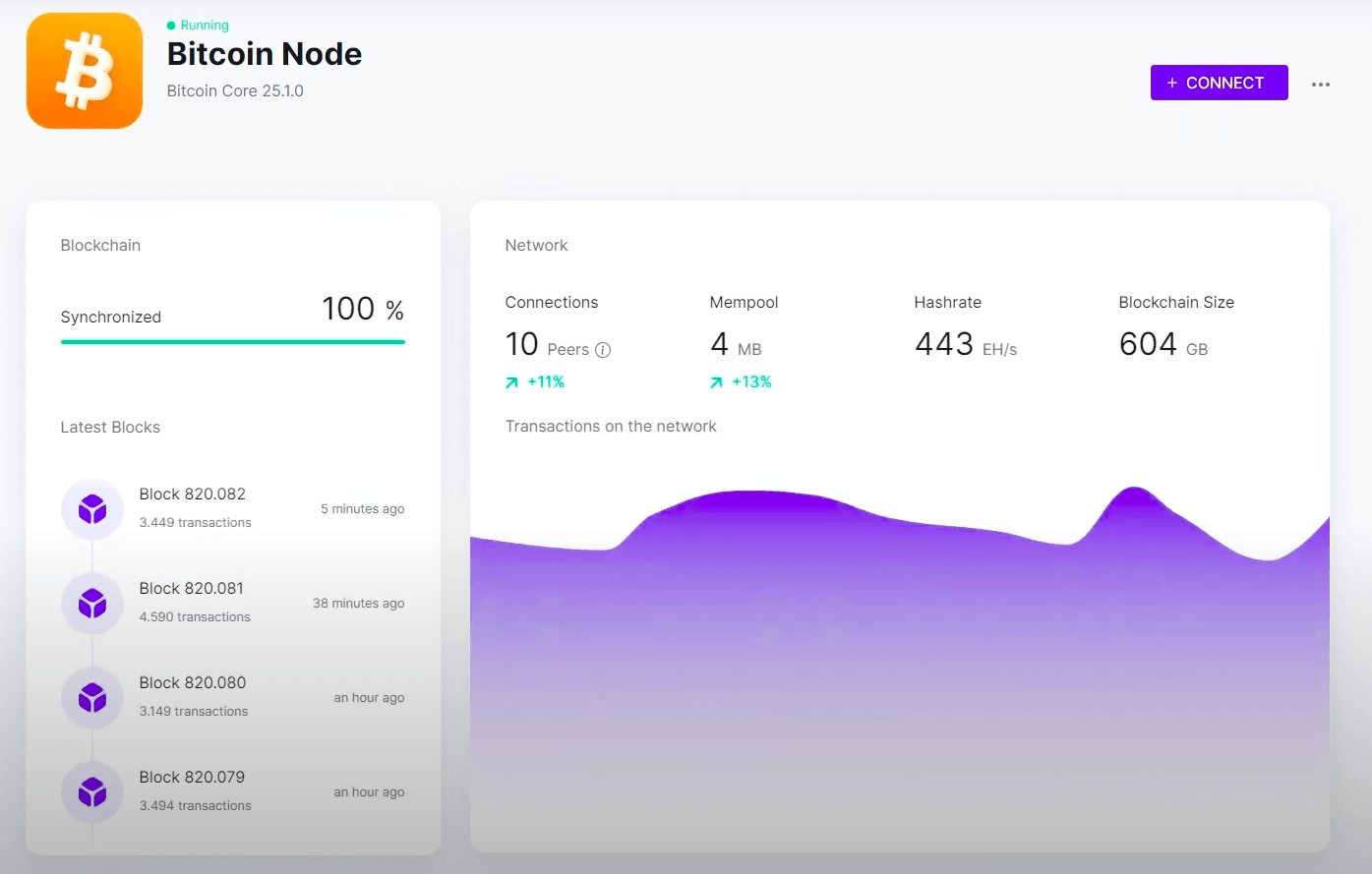 Bitcoin Node (Sincronização com a Blockchain)