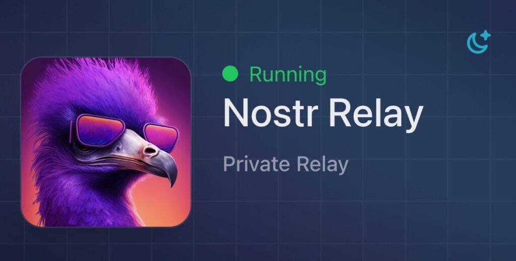 image 13 3 rodar relay Nostr