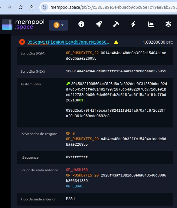 mempool.space campo Witness aparece separado do ScriptSig